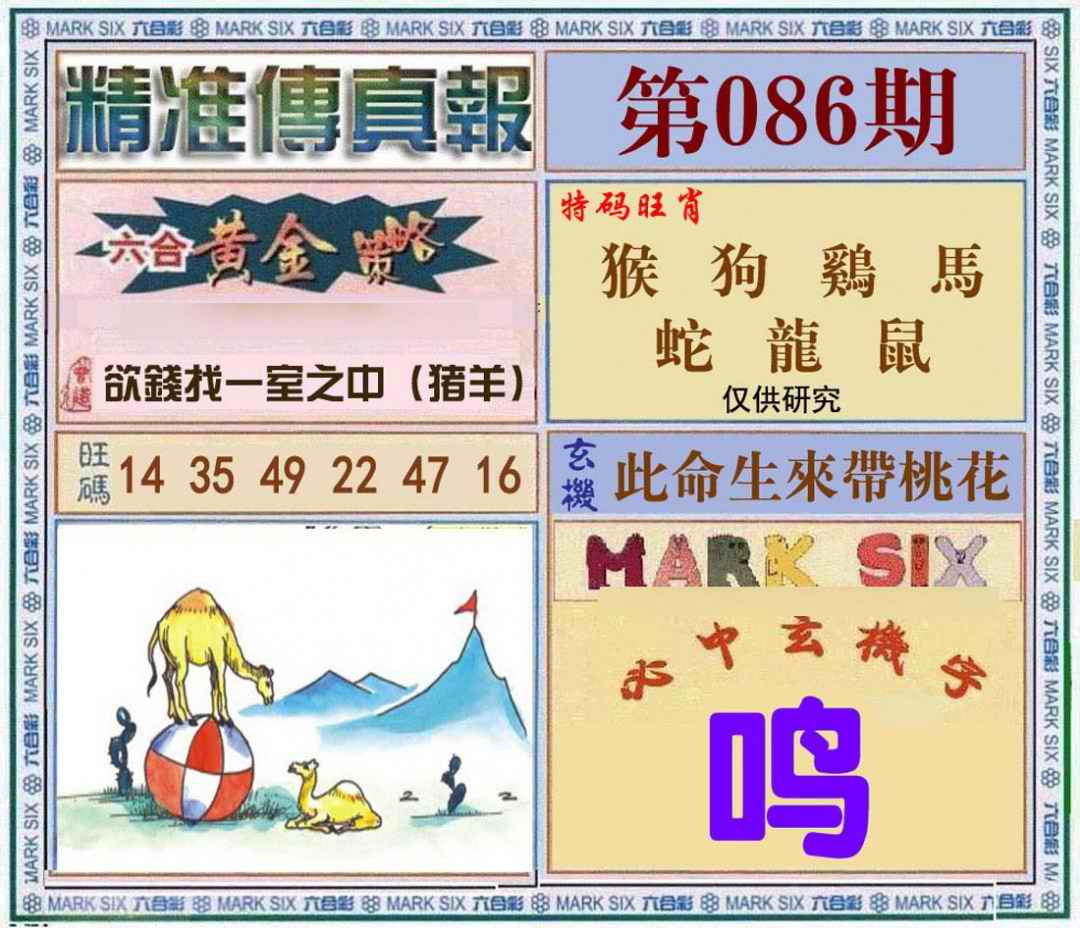 六合彩086期精准<?真?>