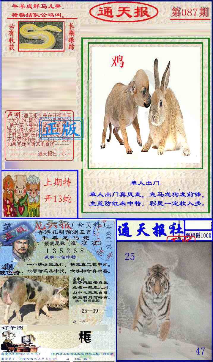 六合彩087期实力通天报