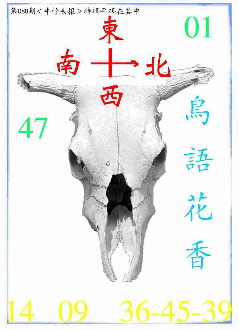 六合彩088期牛派牛头报