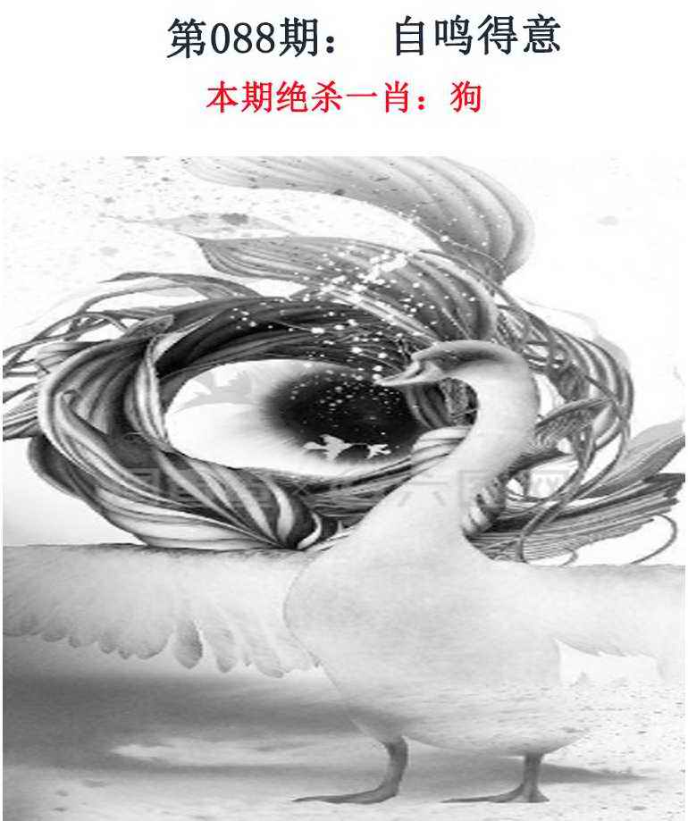 六合彩088期金钱豹自有真功夫