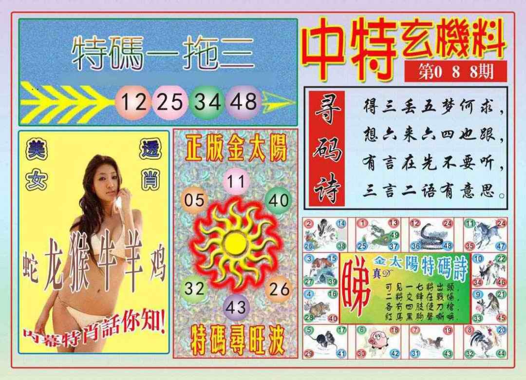 六合彩088期中特玄机料