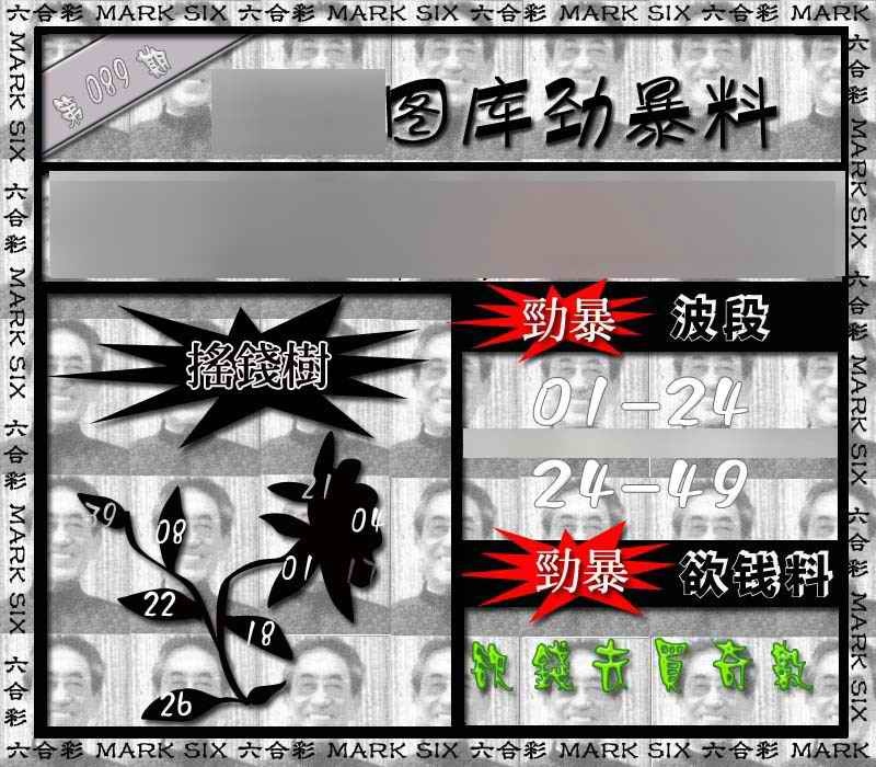 六合彩089期劲暴来料{正版}