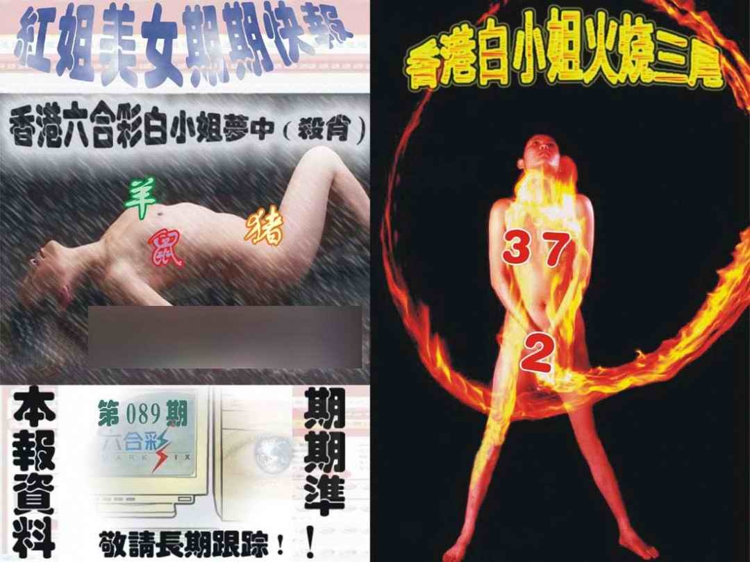 六合彩089期环球美女特码报