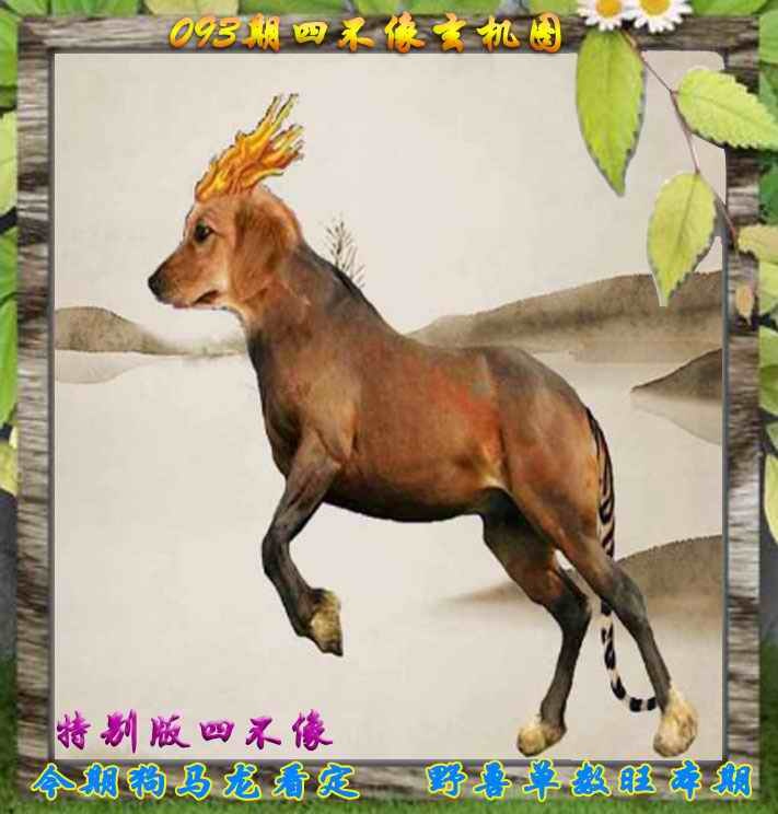 六合彩093期四不像特别版