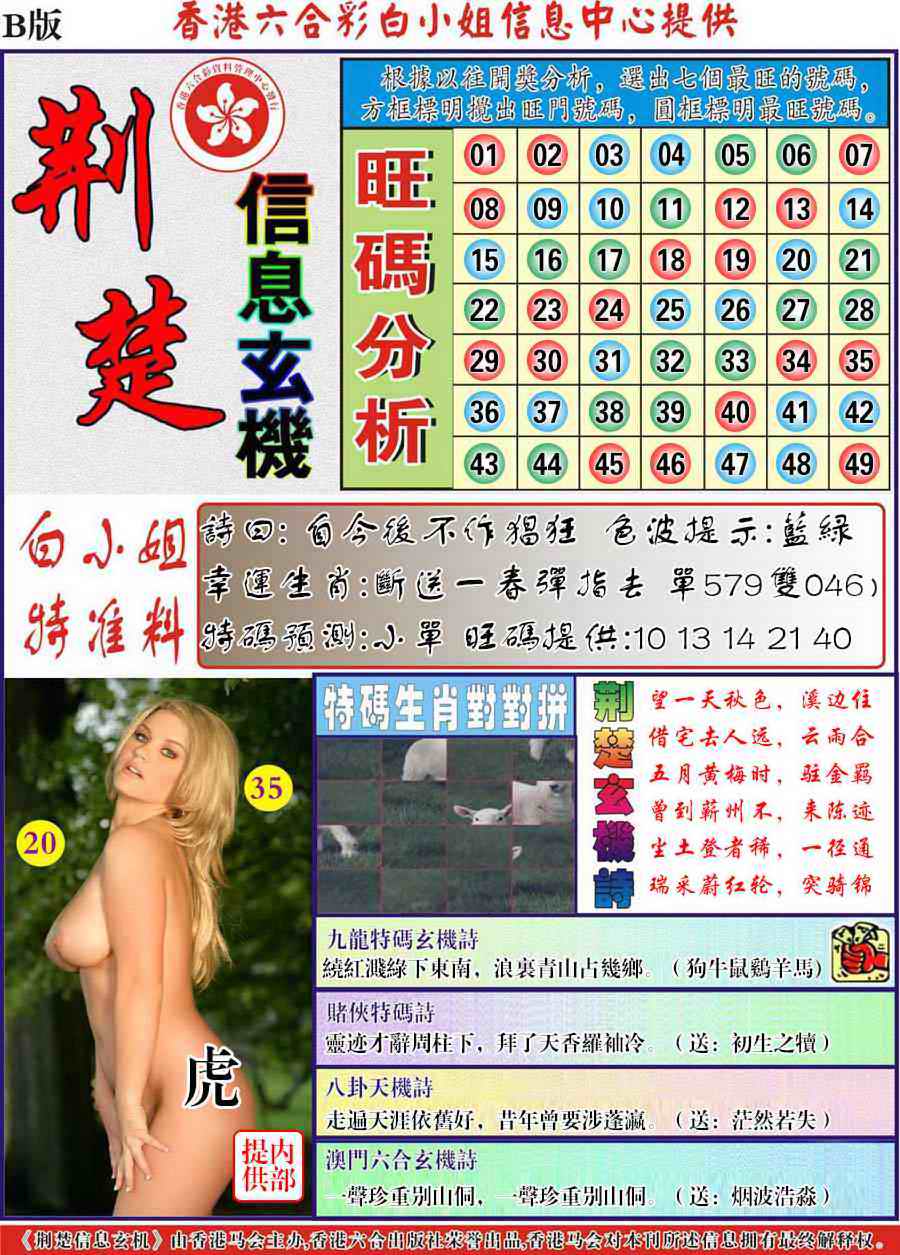 六合彩095期荆楚信息玄机B