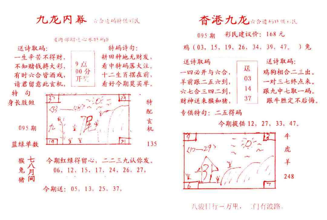 六合彩095期九龙内幕