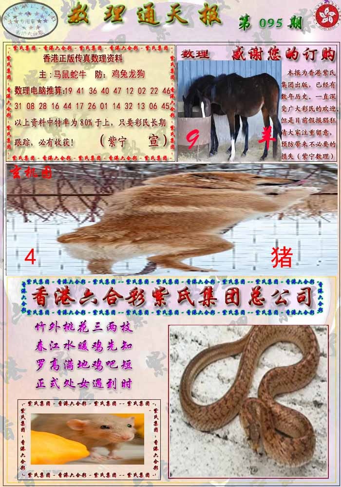 六合彩095期数通报