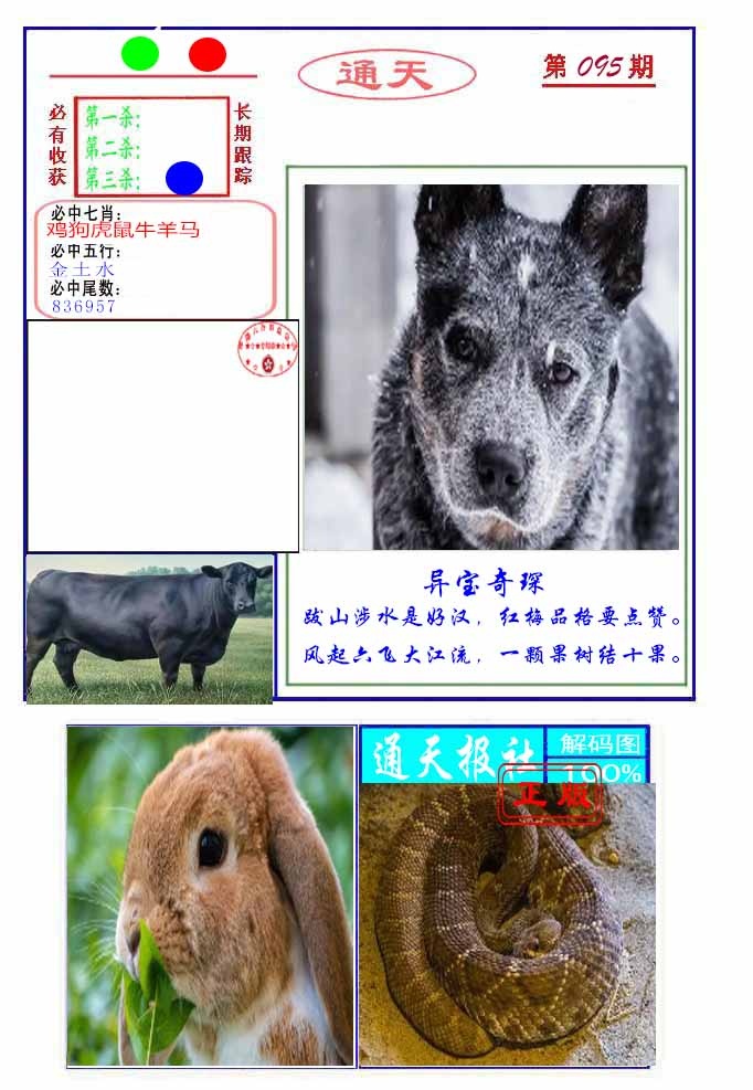 六合彩095期通天杀波图2