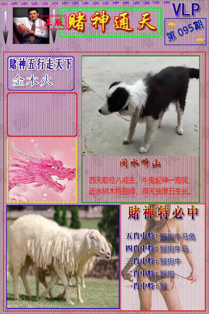 六合彩095期赌神通天报