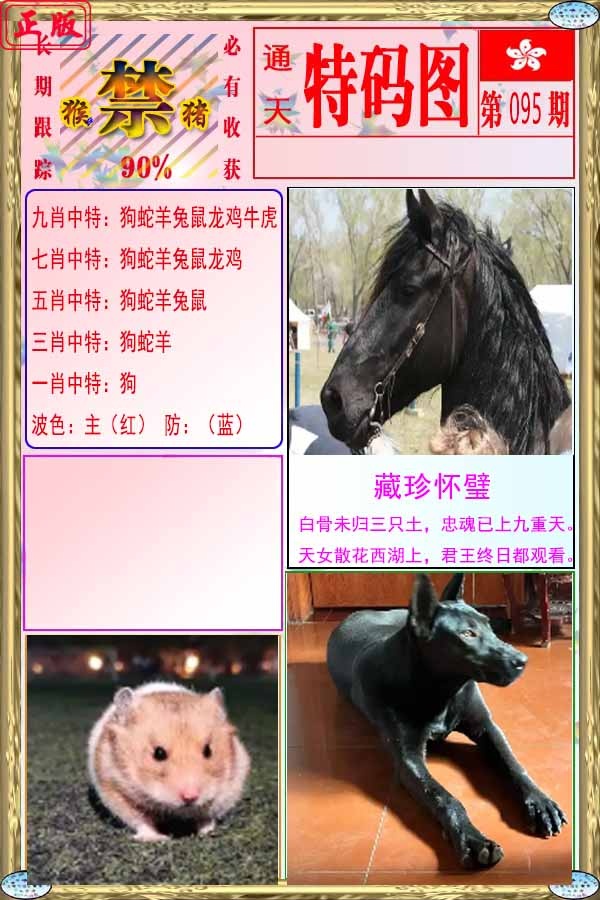 六合彩095期特码图
