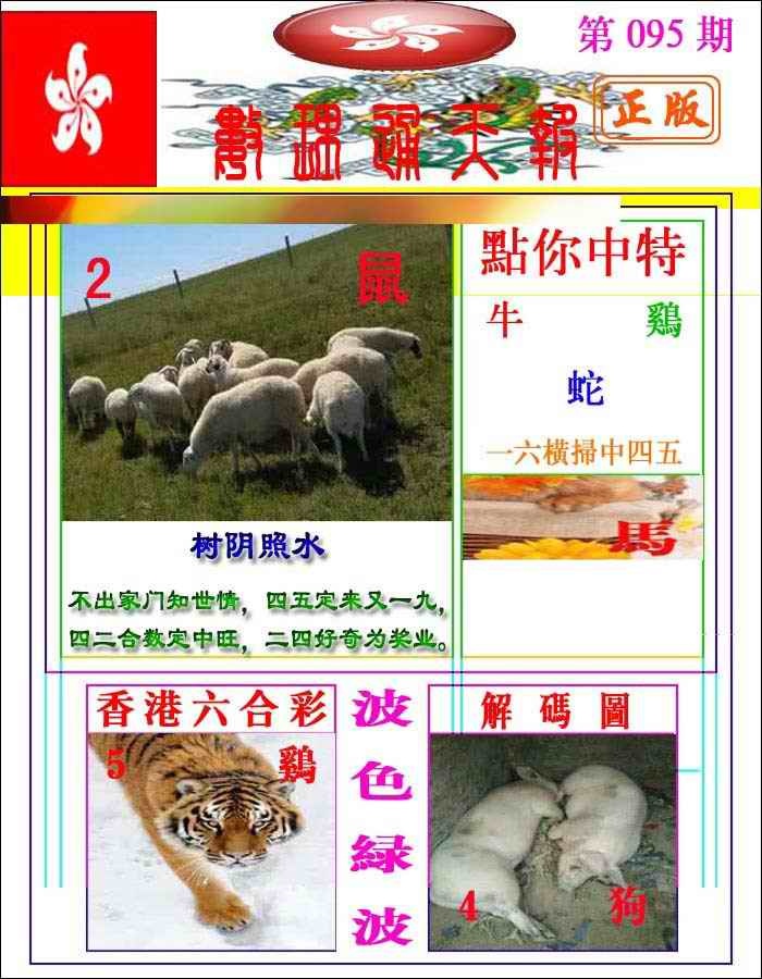 六合彩095期数理通天