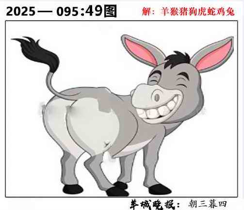六合彩095期49图