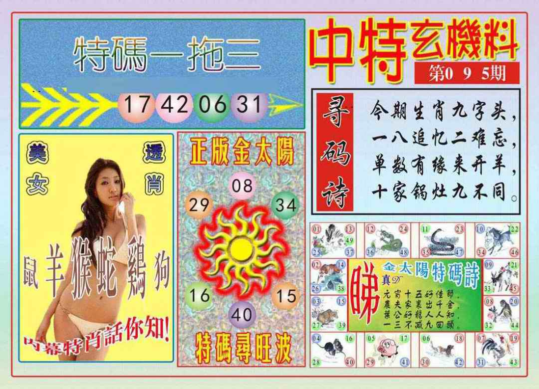 六合彩095期中特玄机料