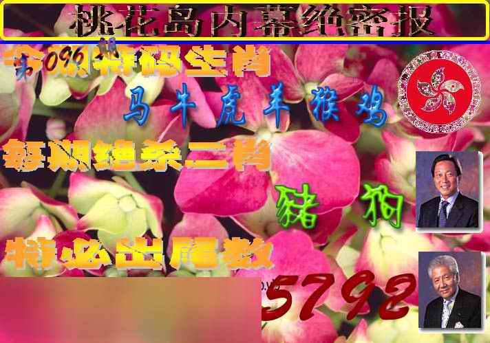 六合彩096期桃花岛内幕报