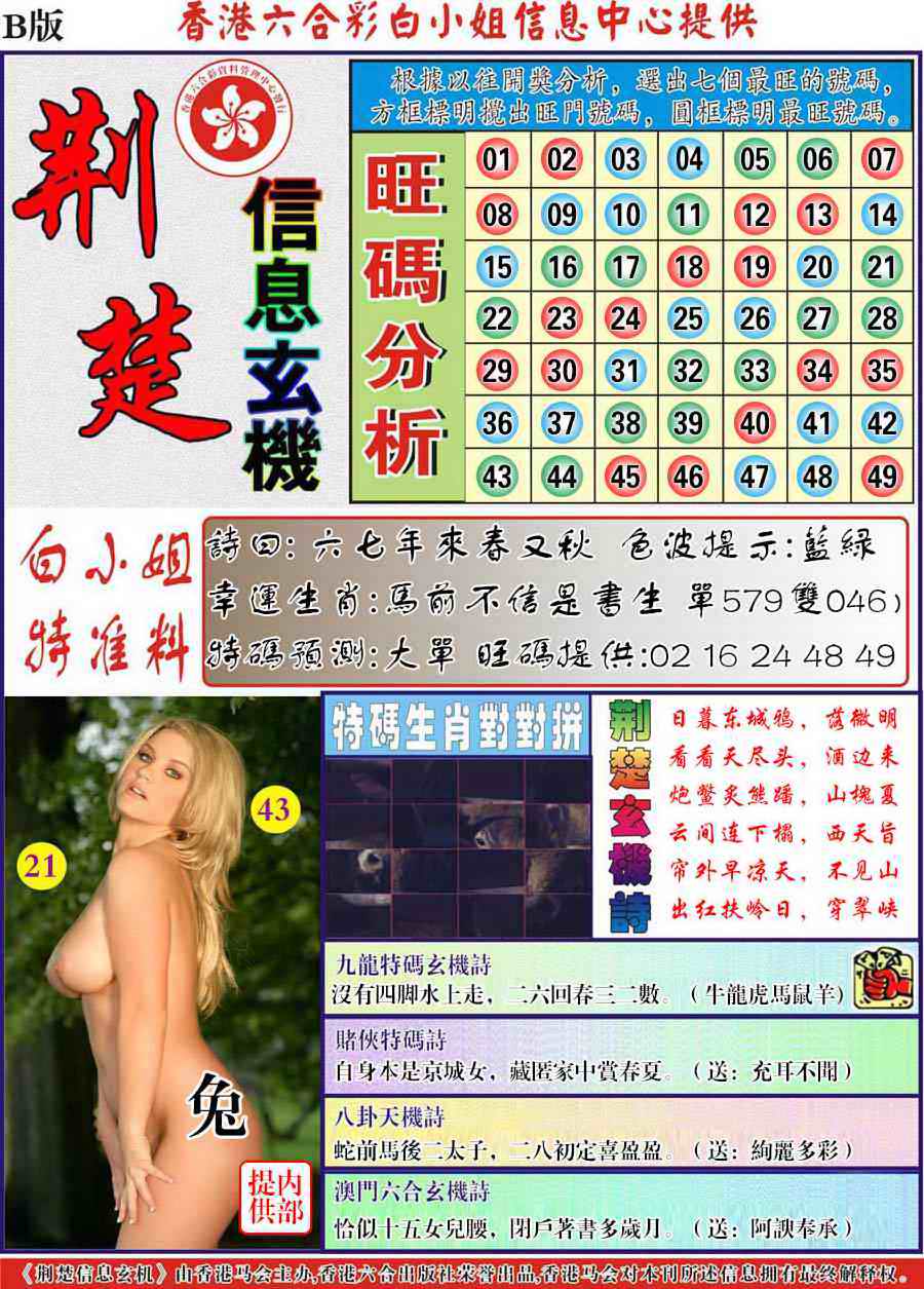 六合彩096期荆楚信息玄机B