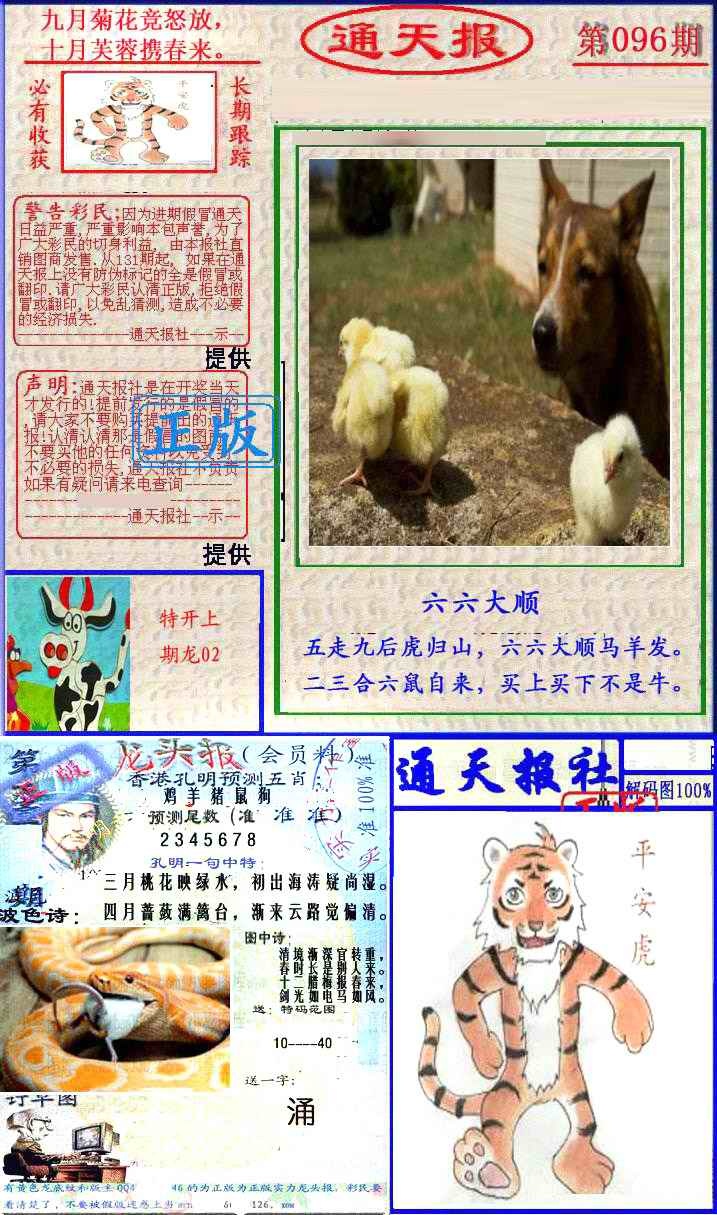 六合彩096期实力通天报