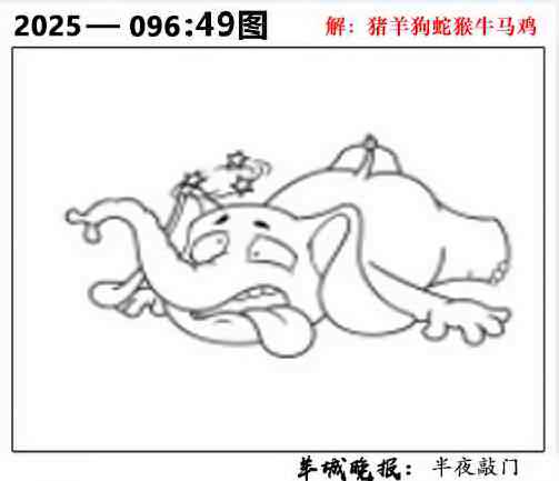 六合彩096期49图