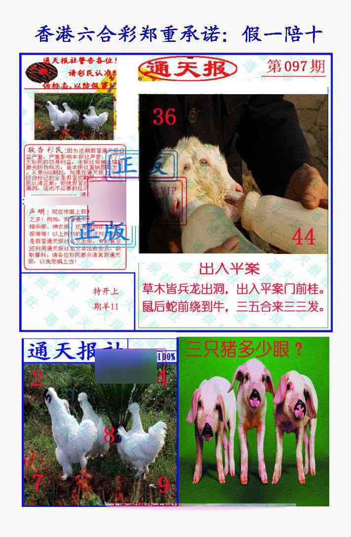 六合彩097期假一陪十通天报