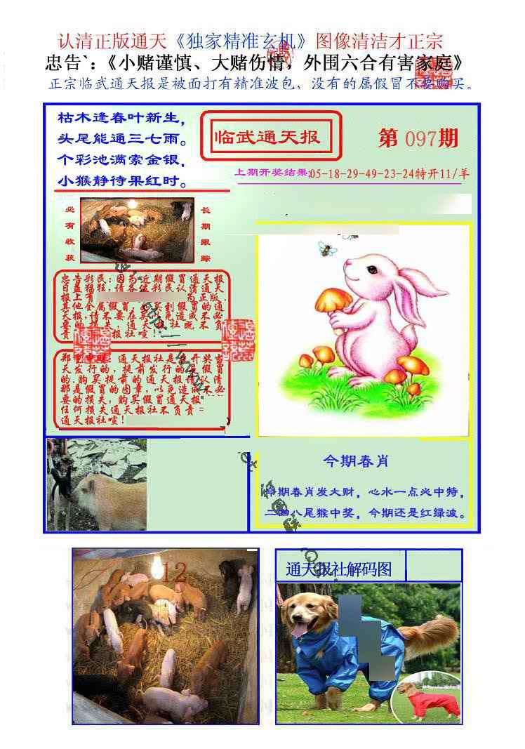六合彩097期临武通天报