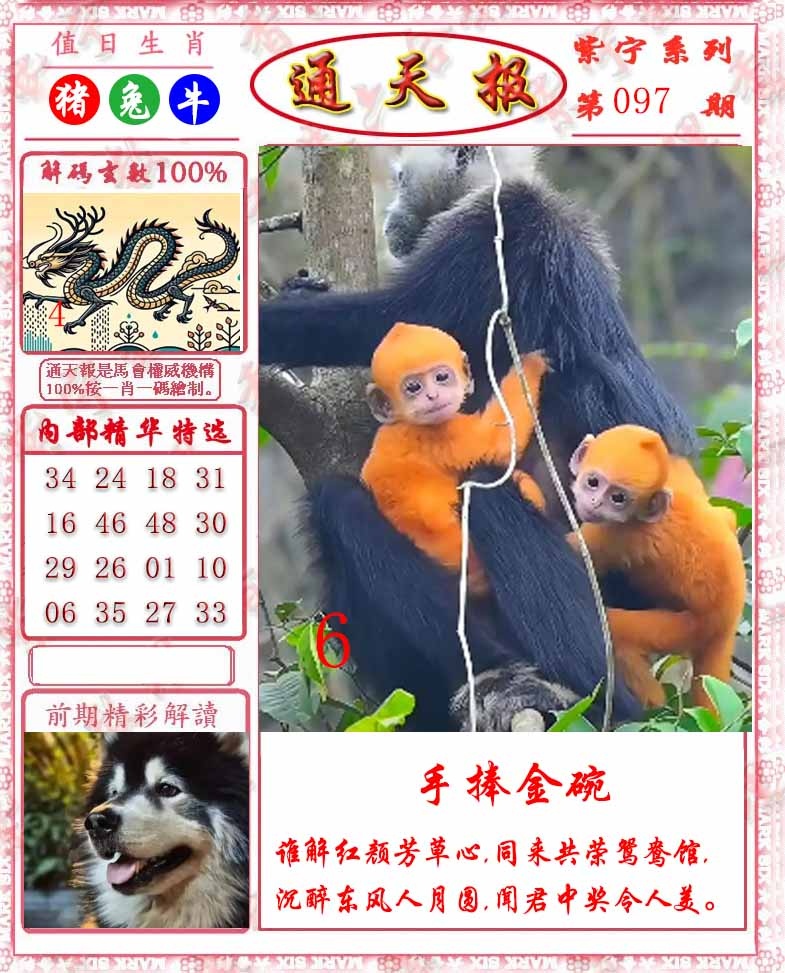 六合彩097期救通报