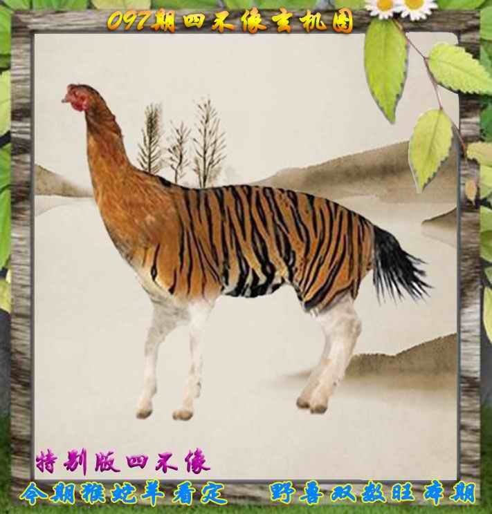 六合彩097期四不像特别版