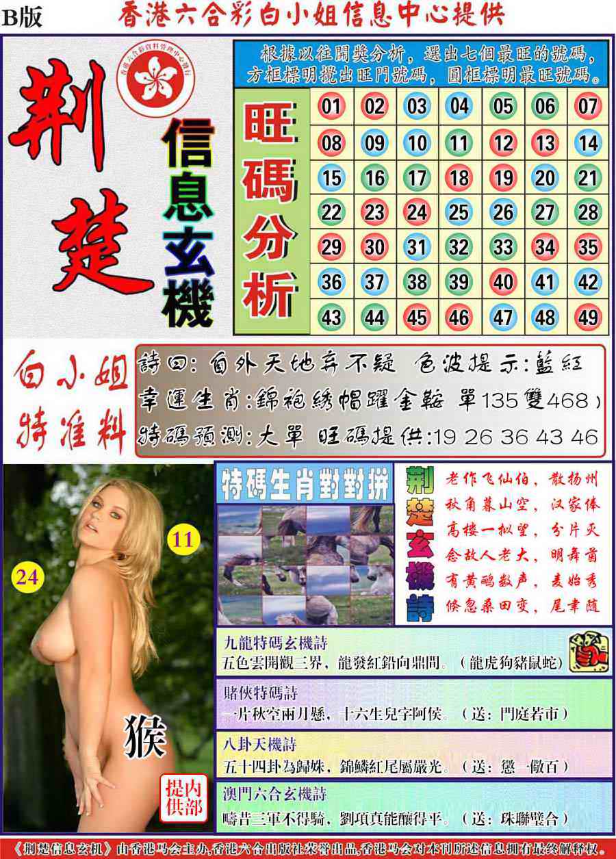 六合彩098期荆楚信息玄机B