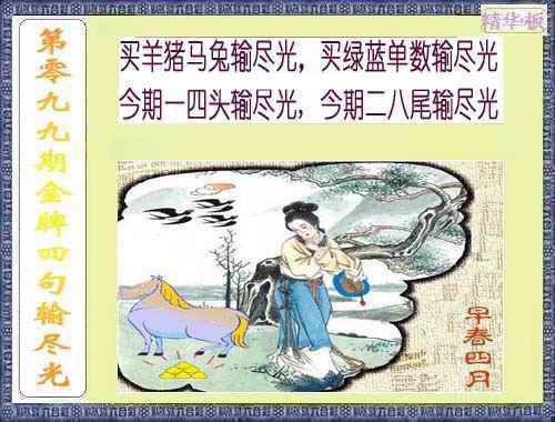 六合彩099期金牌四句输尽光