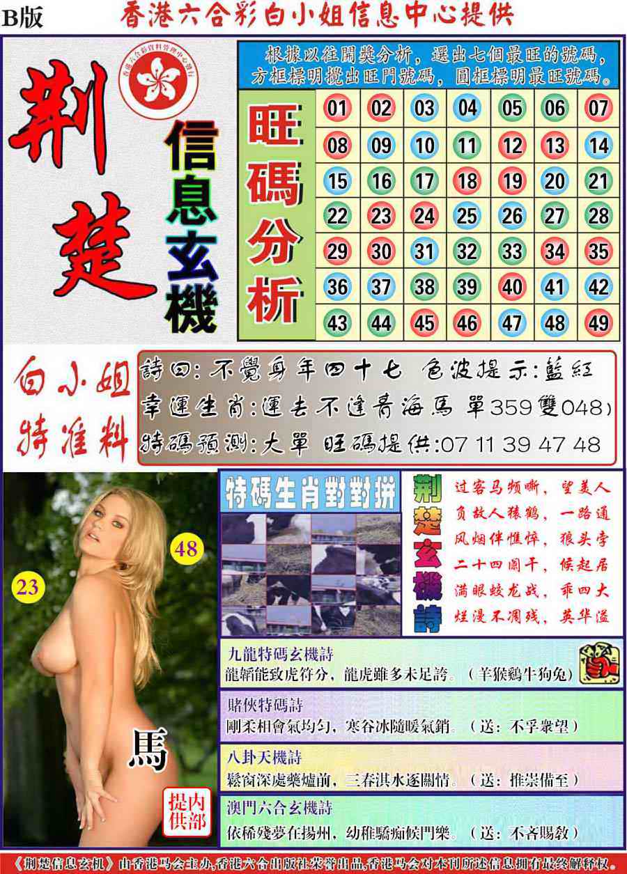 六合彩099期荆楚信息玄机B