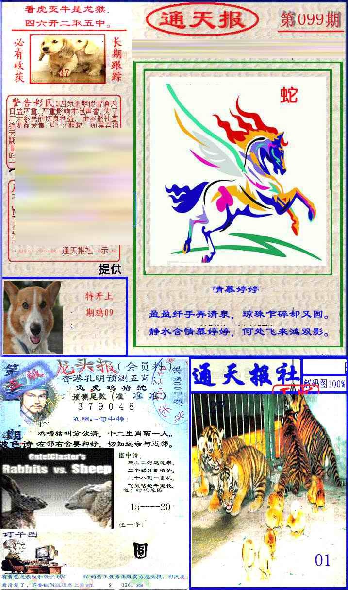 六合彩099期实力通天报