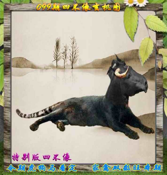 六合彩099期四不像特别版