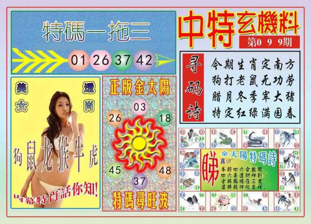 六合彩099期中特玄机料